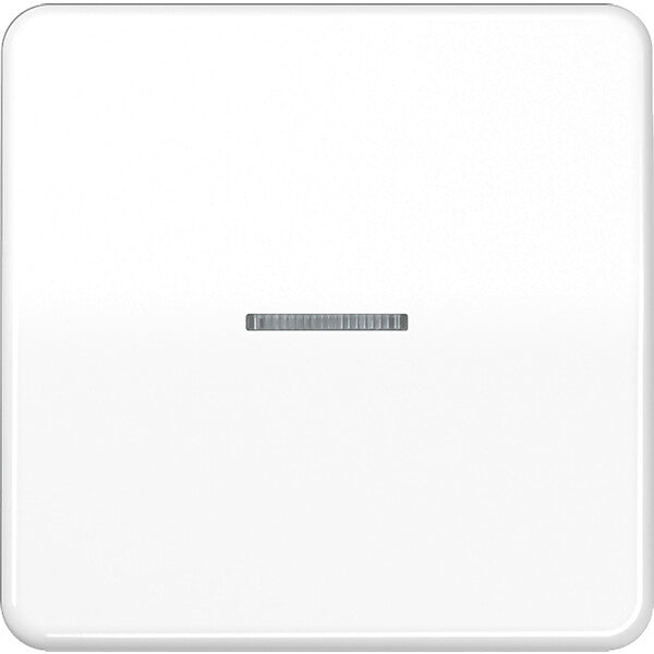 JUNG Wippe Lichtleiter aws für Taster CD 590 KO5 WW